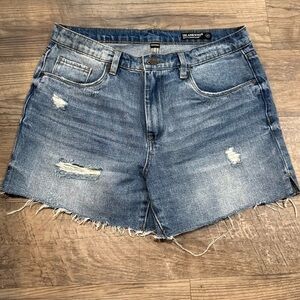 Blank NYC Blue Denim Shorts Size 29